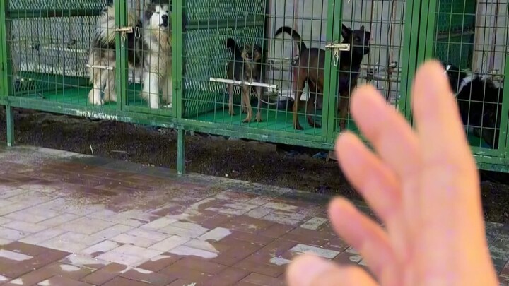 三分相似，我便慌了神