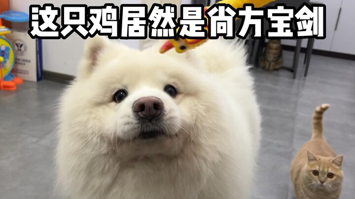 Who would’ve thought this chicken is actually a royal decree!