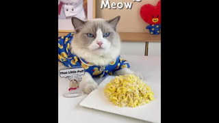 At least Puff is better at using chopsticks than you do!