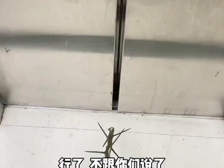 لا أعرف لماذا طلبت مني أمي أن أخرج في منتصف الليل لجمع أغصان الشجر