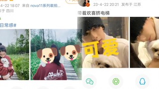 بينما كان السيد باي يضحك ويقول إن كلبه قد تم حفره بشكل جنوني، نشر اثنان من "الشخصيات الثانوية" التي 