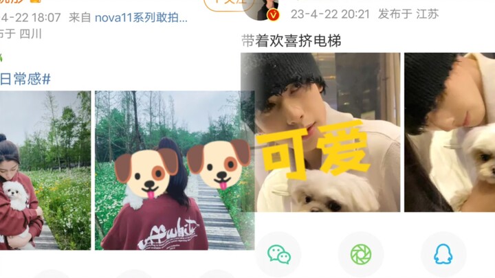 Sambil tertawa, saat Tuan Bai mengatakan bahwa anjingnya menerima banyak perhatian, dua "pemeran pen