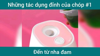 Những tác dụng đỉnh của nha đam p1