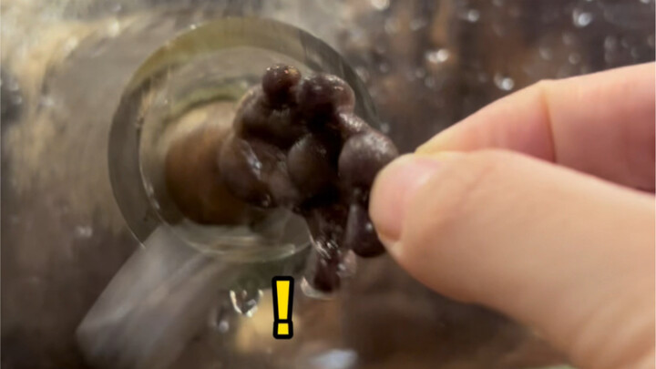 The fish meat that was right within reach has flown away!