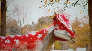 DINODAN BONE IN THE BACKYARD HDTV CILP 3