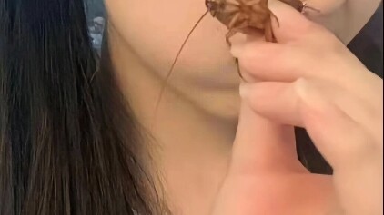 Catch the cicada, and you’ve caught the whole summer.