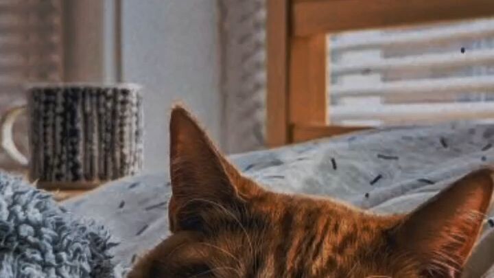 ❤️❤️❤️
