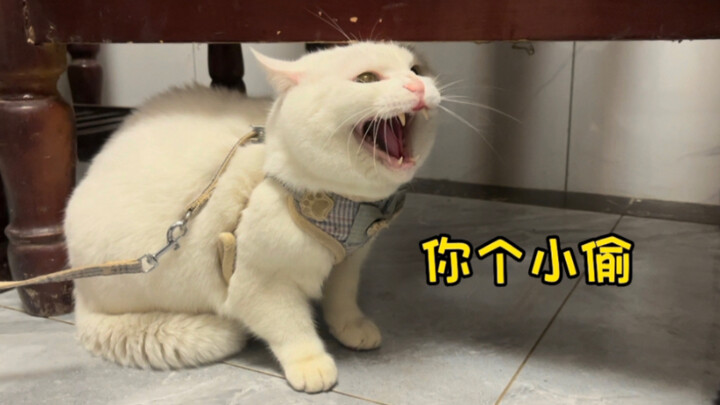 Frame-up: Happily heading home for the New Year, only to find my house robbed!