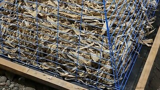 pag hahanda sa laban