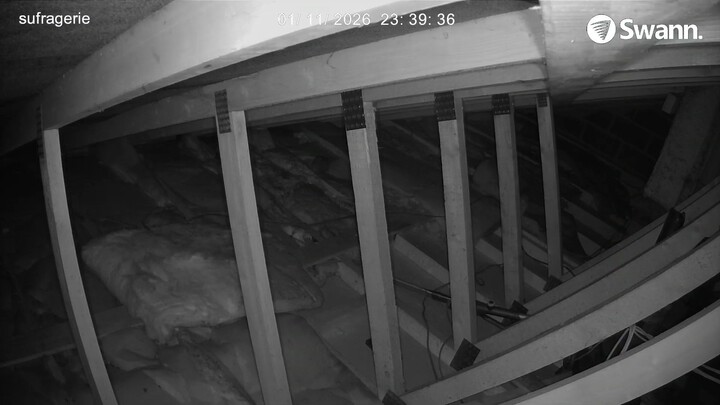 RAT4 - 20260111-233734-234107-000002000000