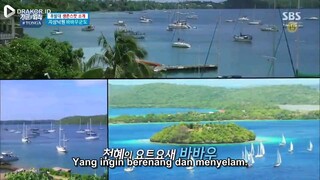 Law Of The Jungle In Tonga Sub Indo Eps 6