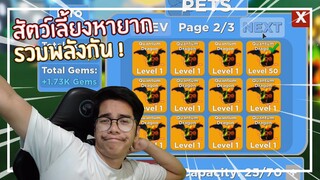 Roblox : Legends Of Speed เอาสัตว์หายาก 25 ตัวมารวมกัน !!! EP.2