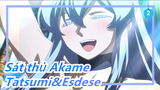 Sát thủ Akame|Tatsumi,Esdese, cô ấy thật sự thích cậu. Nụ cười này được bảo vệ bởi ta!_2