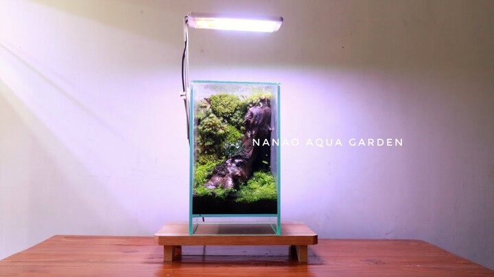 Beautiful MINI Terrarium in Mini Aquarium