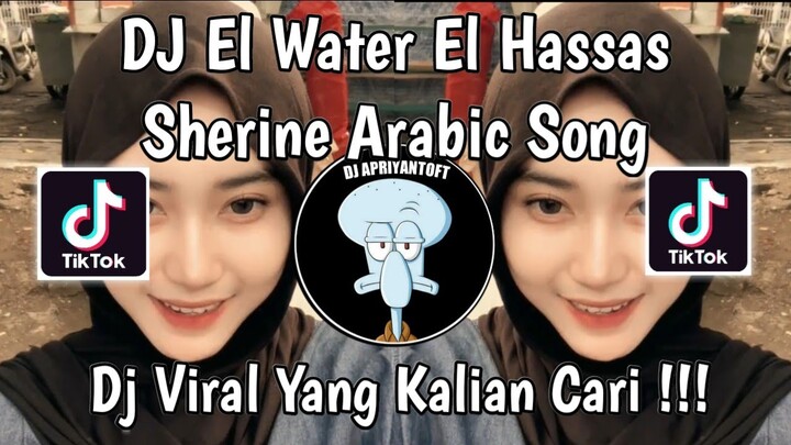 DJ EL WATER EL HASSAS | SHERINE EL WATER EL HASSAS | SHERINE ARABIC SONGS VIRAL TIK TOK 2024 !