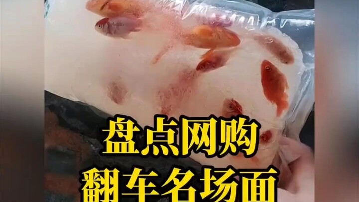 A look back at famous online shopping failures