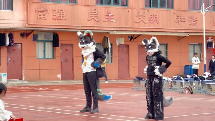 原来是炼金术士啊我还以为是猫猫呢宅舞完整版翻跳