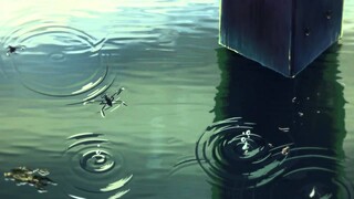 AMV Rainfall