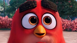 The Angry Birds movie is so awesome. If you're not angry, you'd think I'm an easy target.