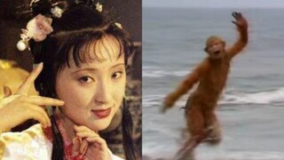 你以为你撒欢的样子 VS 实际上