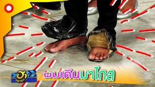 เอาซะตั้งตัวไม่ทัน เล่นซะของเกือบเสื่อม  | บริษัทฮาไม่จำกัด(มหาชน)