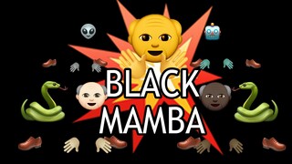 【爷团】Black Mamba