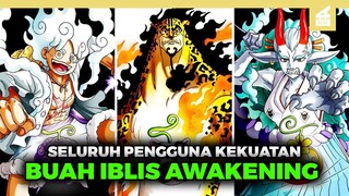 TERLALU OVERPOWER!! Seluruh Pengguna Buah Iblis Yang Sudah Mencapai Awakening