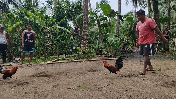 1st Fight Boss June (Win)