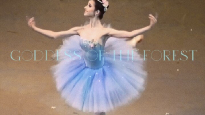 This segment really looks like an elf! Ballet🩰• Don Quixote