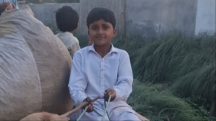 😂 Watch This Little Village Boy Explain the Gears of a Donkey Cart! 🐴🌾 Have You Ever Heard of a C