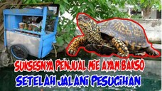 KISAH NYATA MISTERI : SUKSESNYA PENJUAL MIE AYAM BAKSO SETELAH JALANI RITUAL PESUGIHAN BULUS JIMBUG