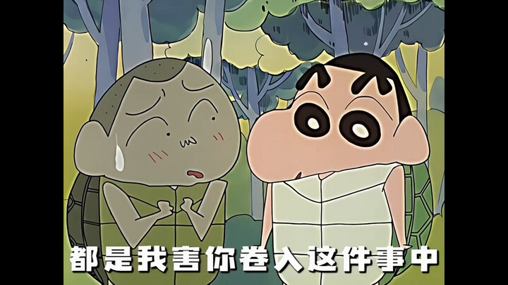 “Chả trách rùa lại có thể thắng thỏ”