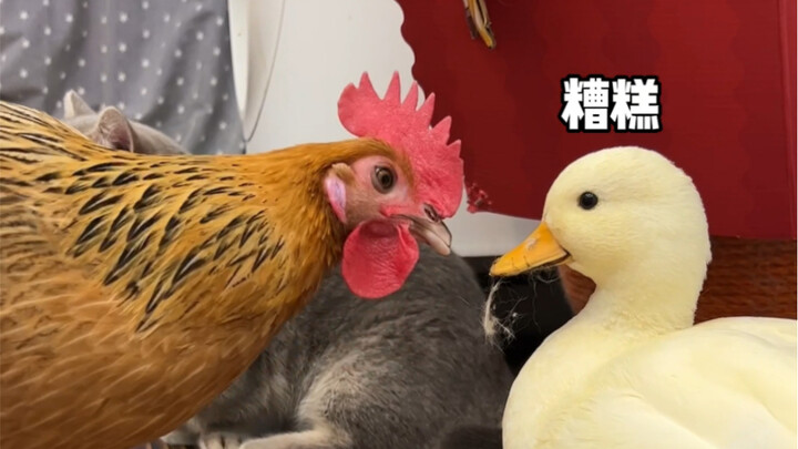 You're so close to me—don't you value your life?!