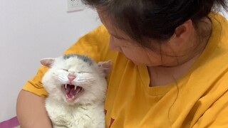 Aku sudah mendengar dua kali dengungan ini lebih dari 100 kali~ Sangat imut