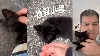 Found a little black cat by the roadside 🖤