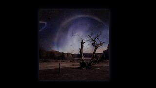 Seori - Trigger