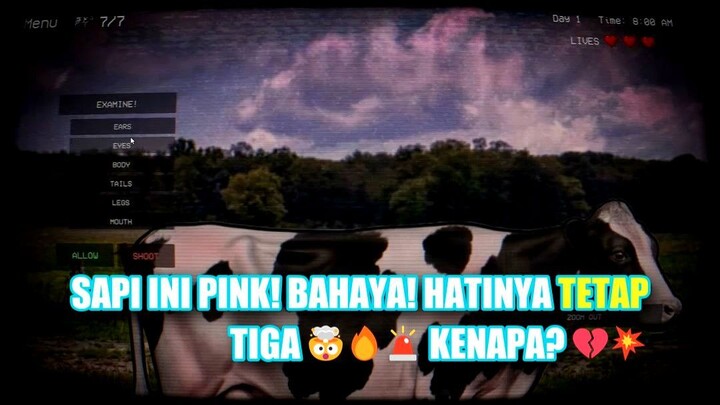 Menelusuri Peternakan & Menemukan Kejanggalan