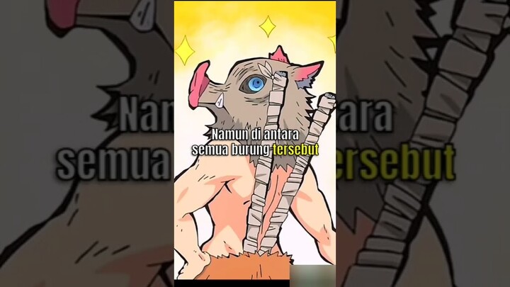 Tahukah Kalian? Kelakuan Bar Bar Inosuke