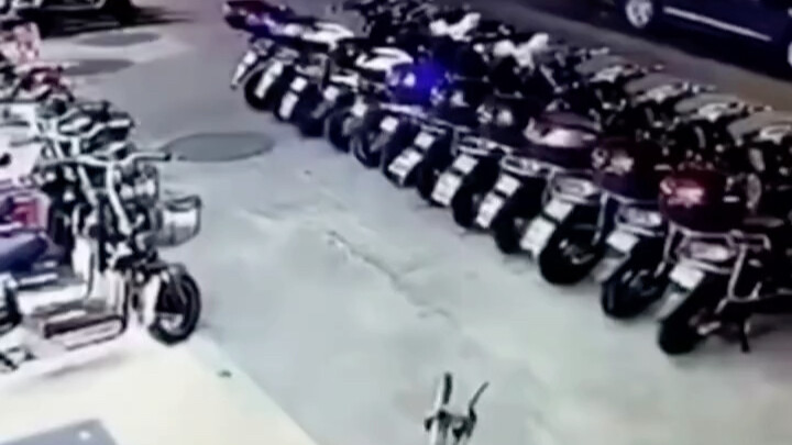 Tối nay chỉ trong một phút đã bán được hơn chục chiếc xe!