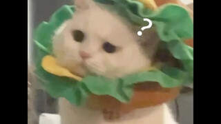 所以小说中那些傻白甜女主把女二的蛋糕弄倒了，要我我也得生气