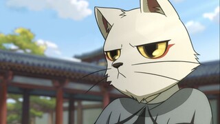 Mr. Cat: Is it too late to pretend that I don’t know Sun Bao?