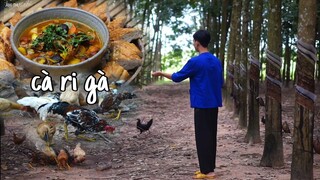 Bắt Con Gà Nấu Một Nồi Cà Ri Gà, Tụi Nhỏ Ăn Say Mê | Chicken Curry | Đồng Hao