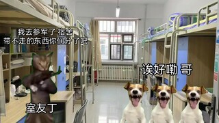 大学那些事