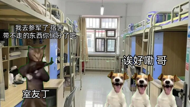 大学那些事