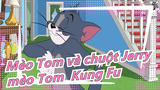 Mèo Tom và chuột Jerry -mèo Tom  Kung Fu