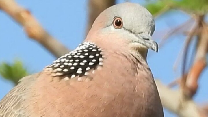 Gugu↘gu→Gugu↘gu~Gugu↘gu→Gugu↘gu~Gugu↘gu→Gugu↘gu~Gugu↘gu→Gugu↘gu~Gugu↘gu→Gugu↘gu~Gugu↘gu→Gugu↘gu~Gugu