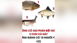 Top comment ảnh chế hài hước bởi Cộng đồng hoaky68 topcomment xuhuong phimhai haihuoc