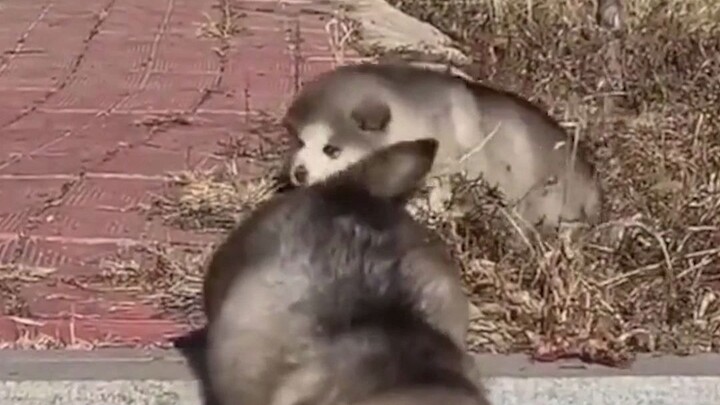 สินค้าที่มีวันที่ดีมักอยู่ในจุดที่หยิบได้ยากที่สุด