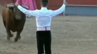 Cow: You are so awesome!