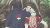 【Potongan Sasakura】Sasuke akan selalu dengan sabar menjelaskan kepada Sakura
